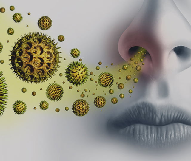 Allergy